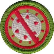 Socializing Merit Badge